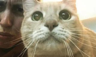 你一定要幸福电视剧